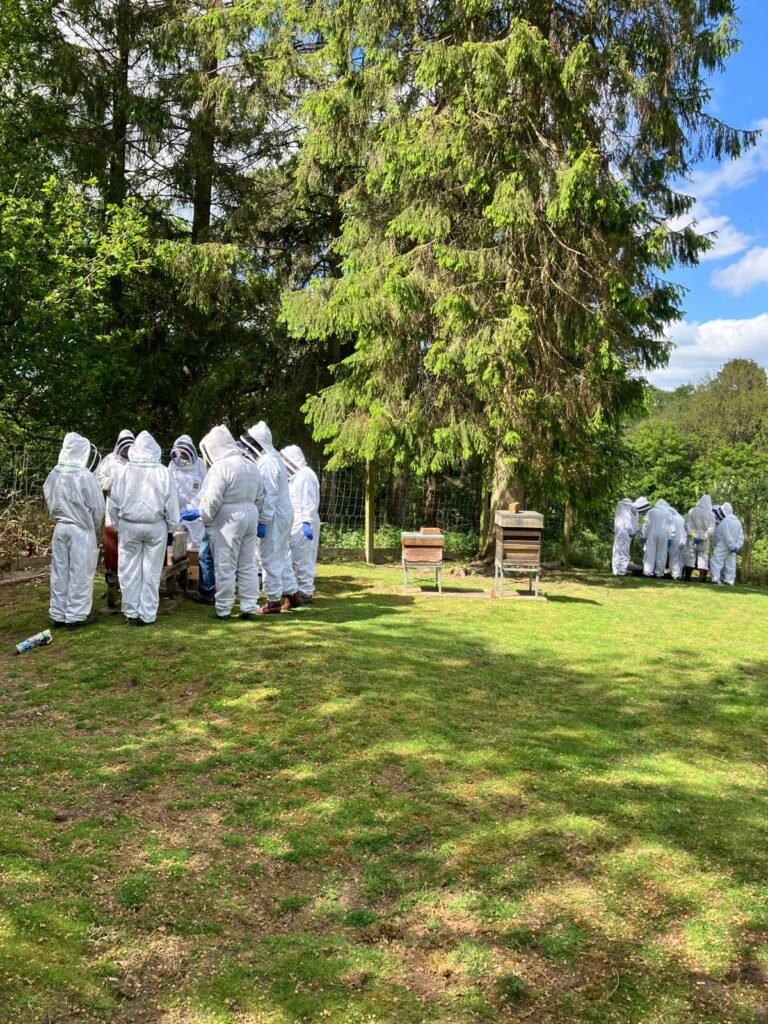 Summer training has started 1 1ecc02bf a6e6 47ed b66b a2ece116939a