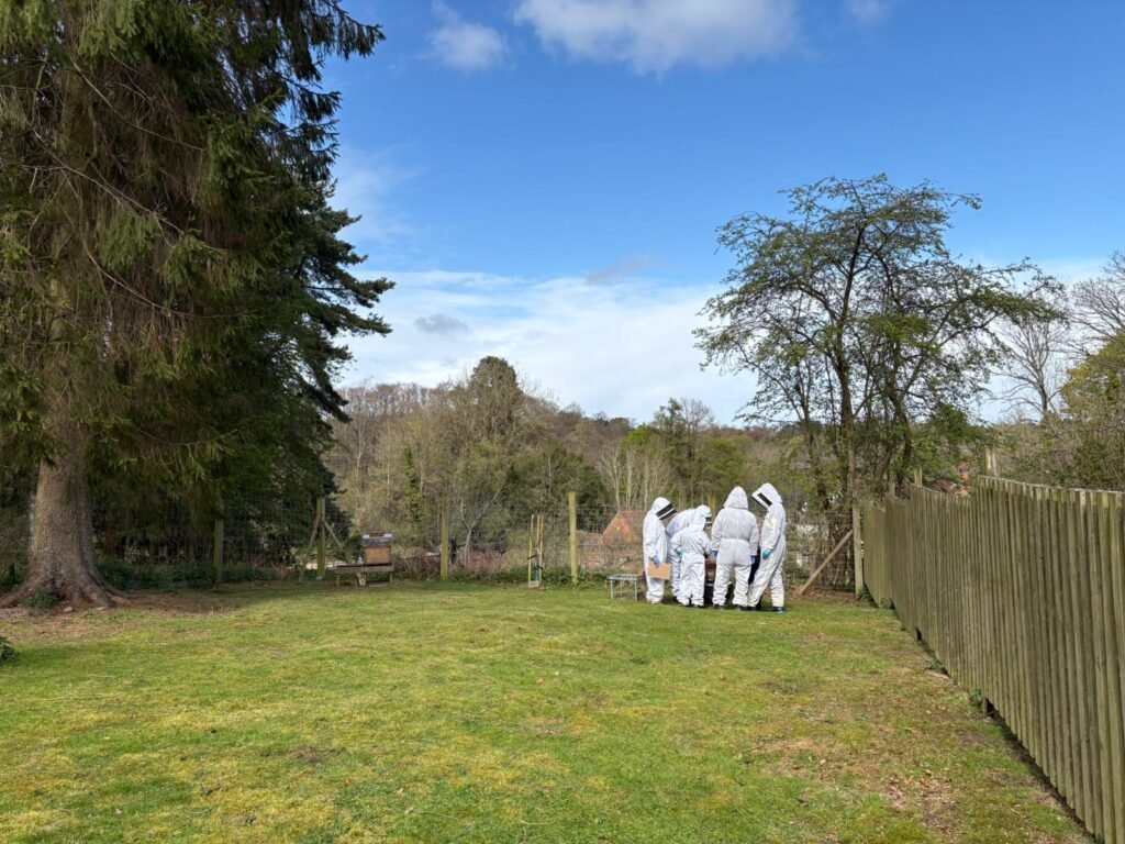 Apiary opening 3 35dd83a6 d939 4e35 ad2d b3ed807ae65e