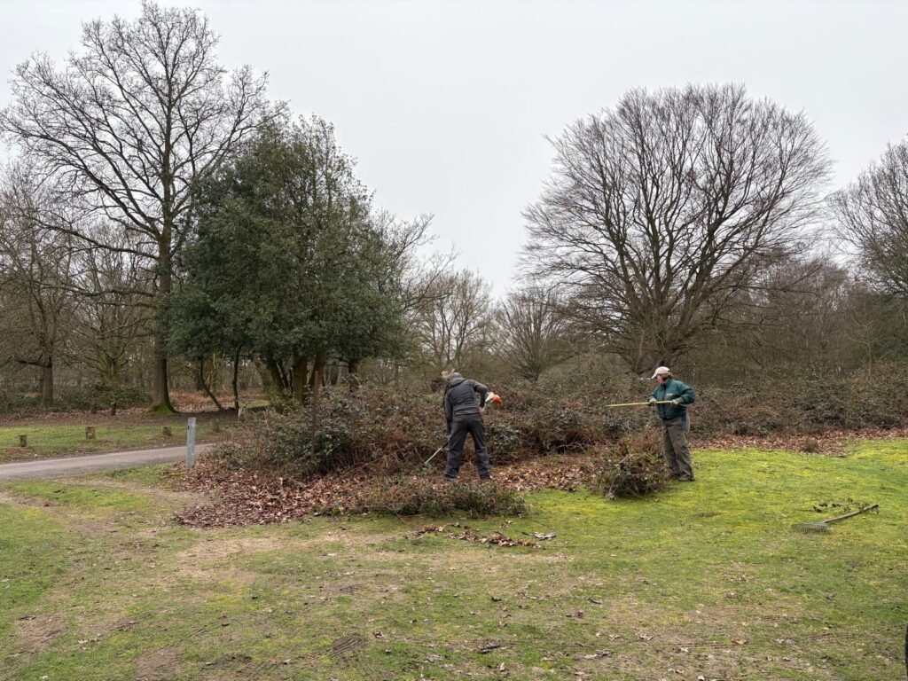 8a43df25 ccad 4027 b315 77fdaf549bde