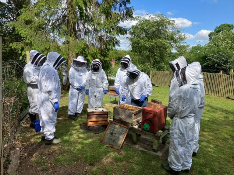 Beekeeping News 2 9d601df5 3cc8 49ad 84ac bd4156b6946a