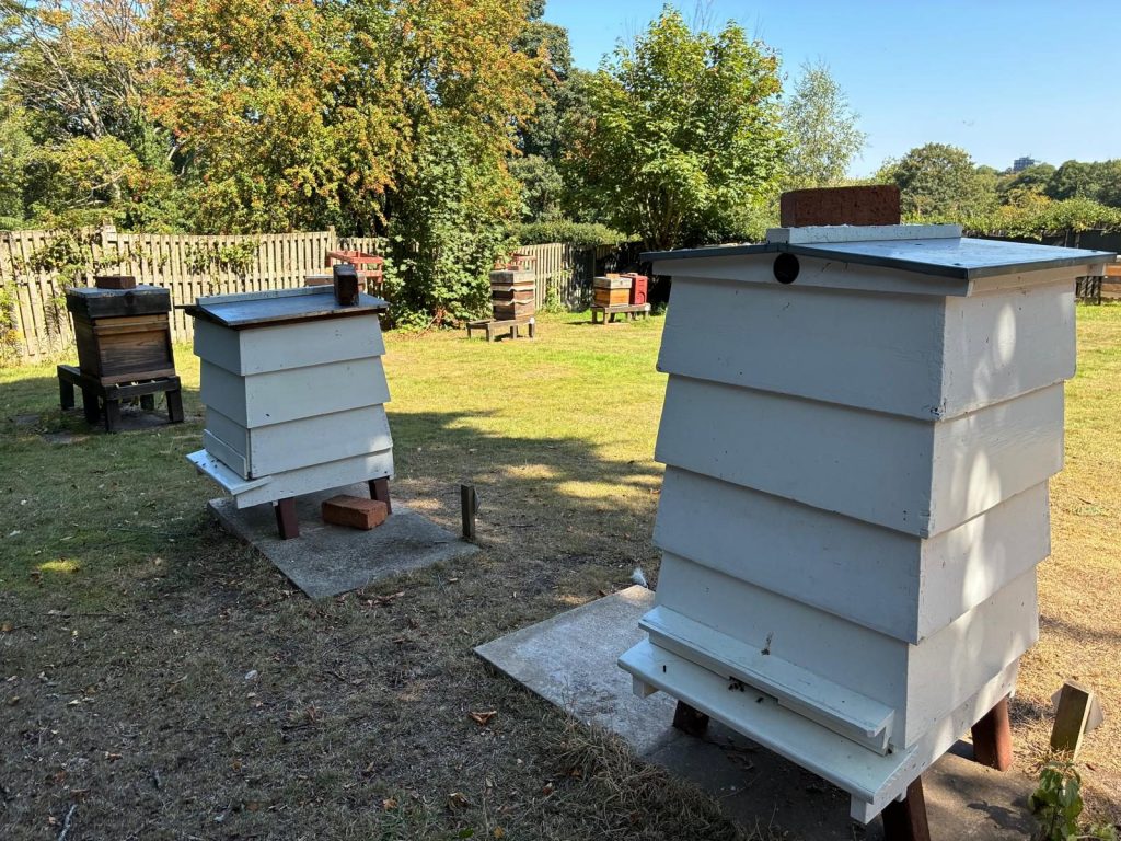 PHOTO 2025 08 17 19 52 29