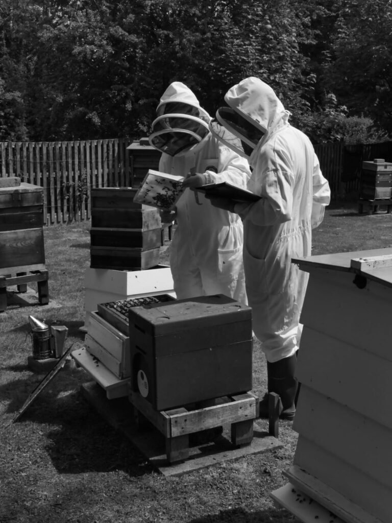 Proficiency in Apiculture Assessment 11