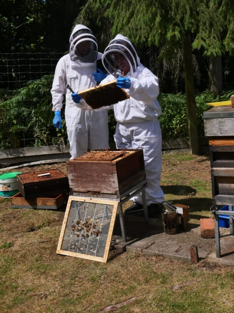 Proficiency in Apiculture Assessment 12