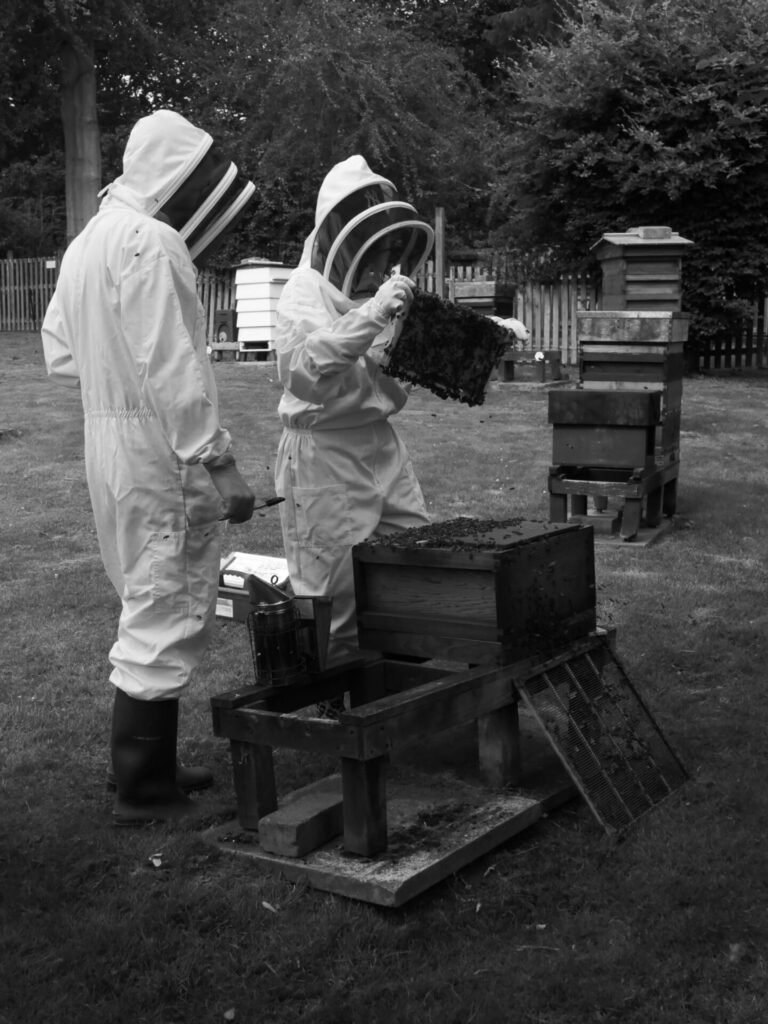 Proficiency in Apiculture Assessment 15
