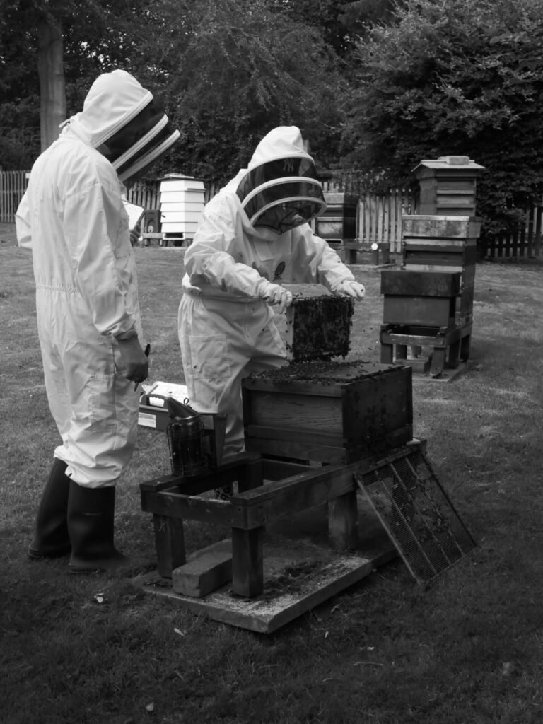 Proficiency in Apiculture Assessment 16
