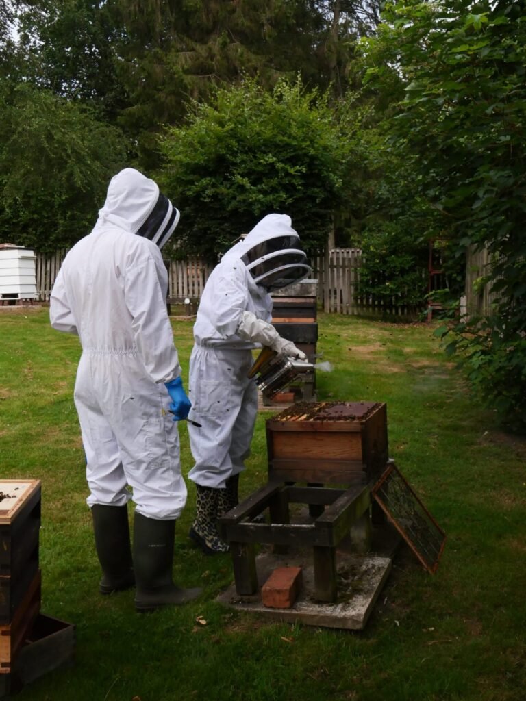 Proficiency in Apiculture Assessment 17