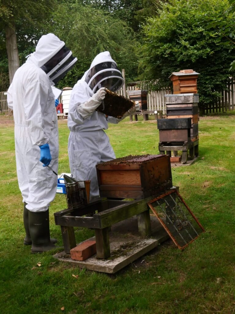 Proficiency in Apiculture Assessment 18
