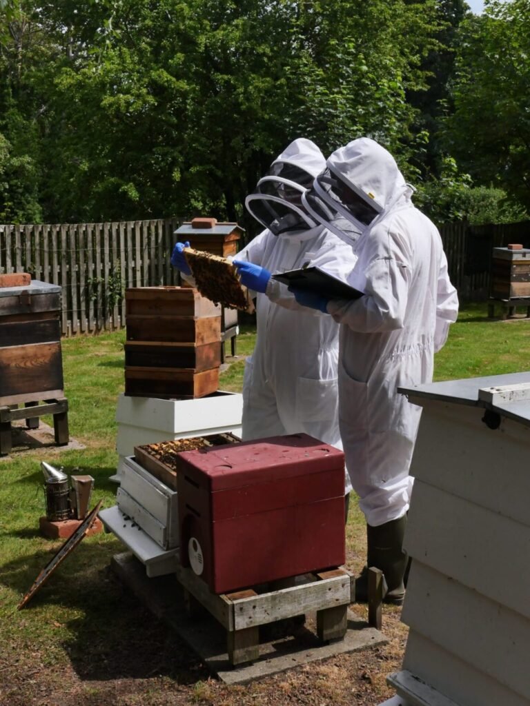 Proficiency in Apiculture Assessment 3