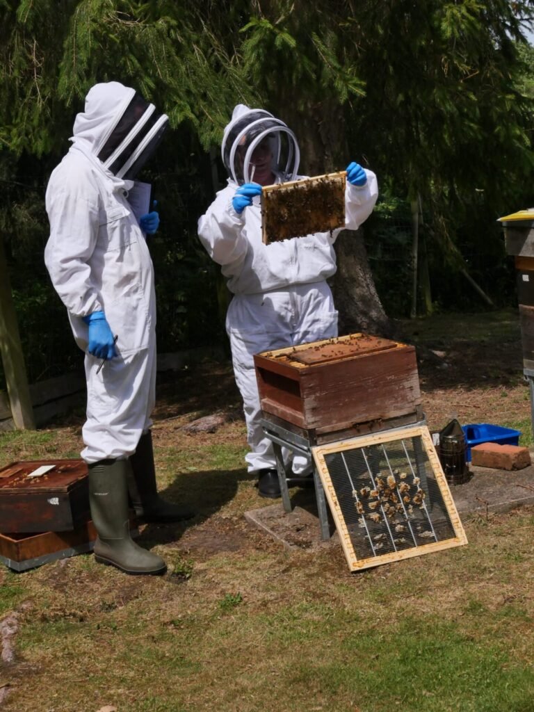 Proficiency in Apiculture Assessment 7