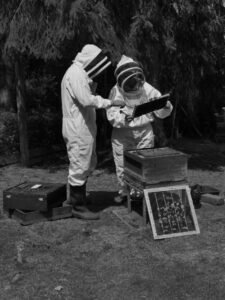 Proficiency in Apiculture Assessment 9