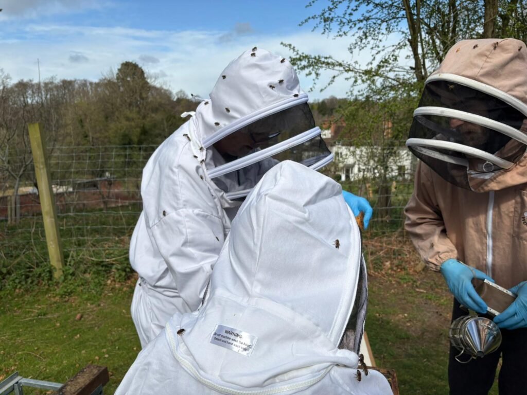 Apiary opening 2 b81d7bcd 49a8 447b 93fd 00bc7b4d05e7