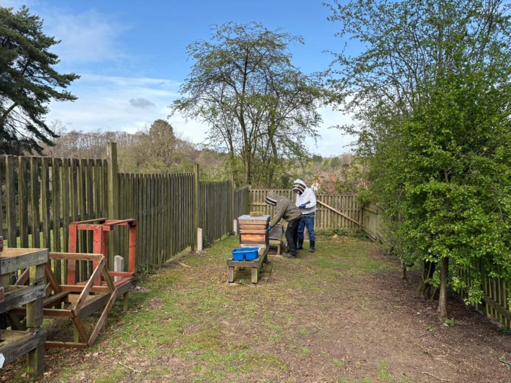 Apiary opening 1 cd4a547e 60b3 4ad6 8944 96fa17bfc0d9