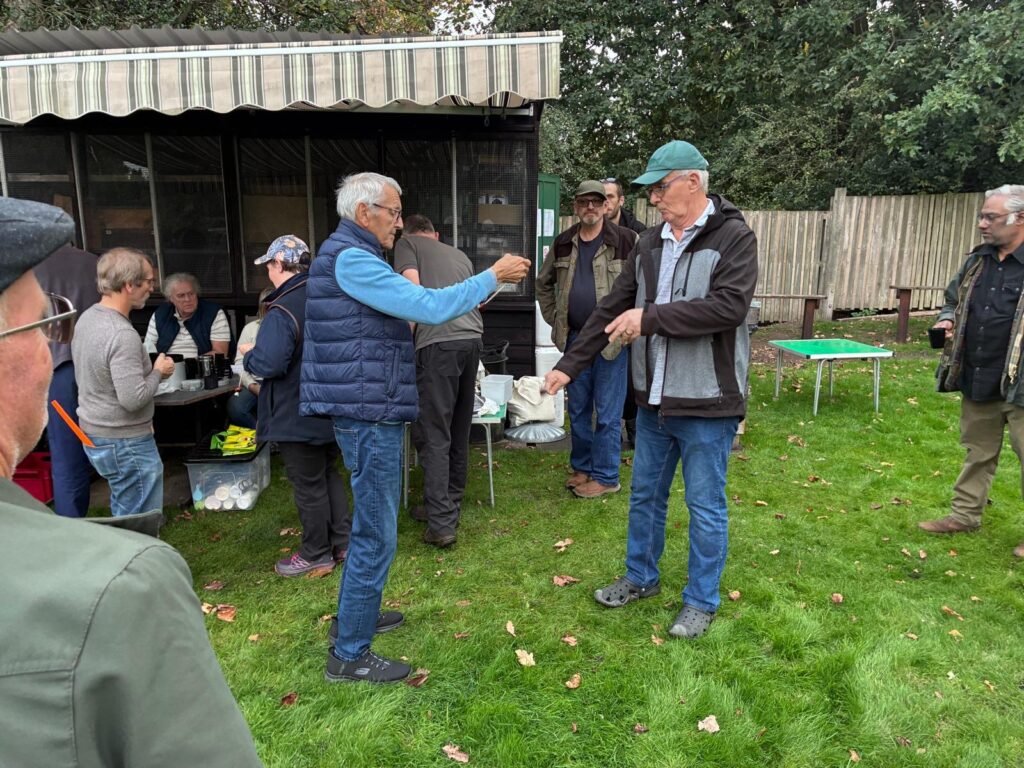 Conker Champion Supreme 14 eb66fa47 476c 4753 af30 dae8d42e163b