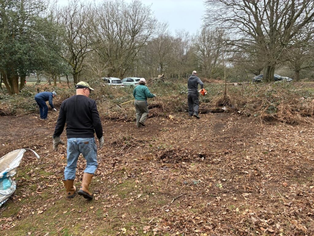 f5dd2b1d bd75 473f 9b49 1df966c52901